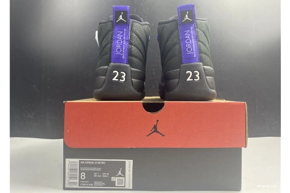 Black Dark Jordan CT8013-005 Air 12 Retro CT8013-005 Concord 0126